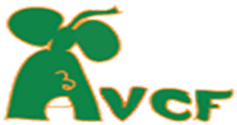 Avtar Virdee Children’s Foundation